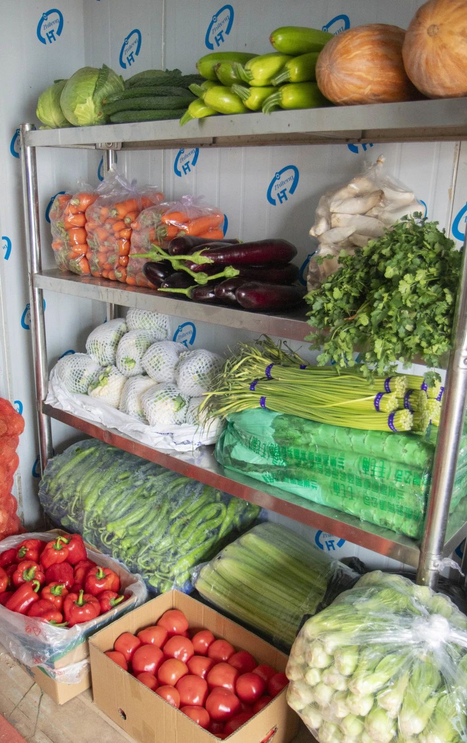 Z6·尊龙凯时「中国区」官方网站